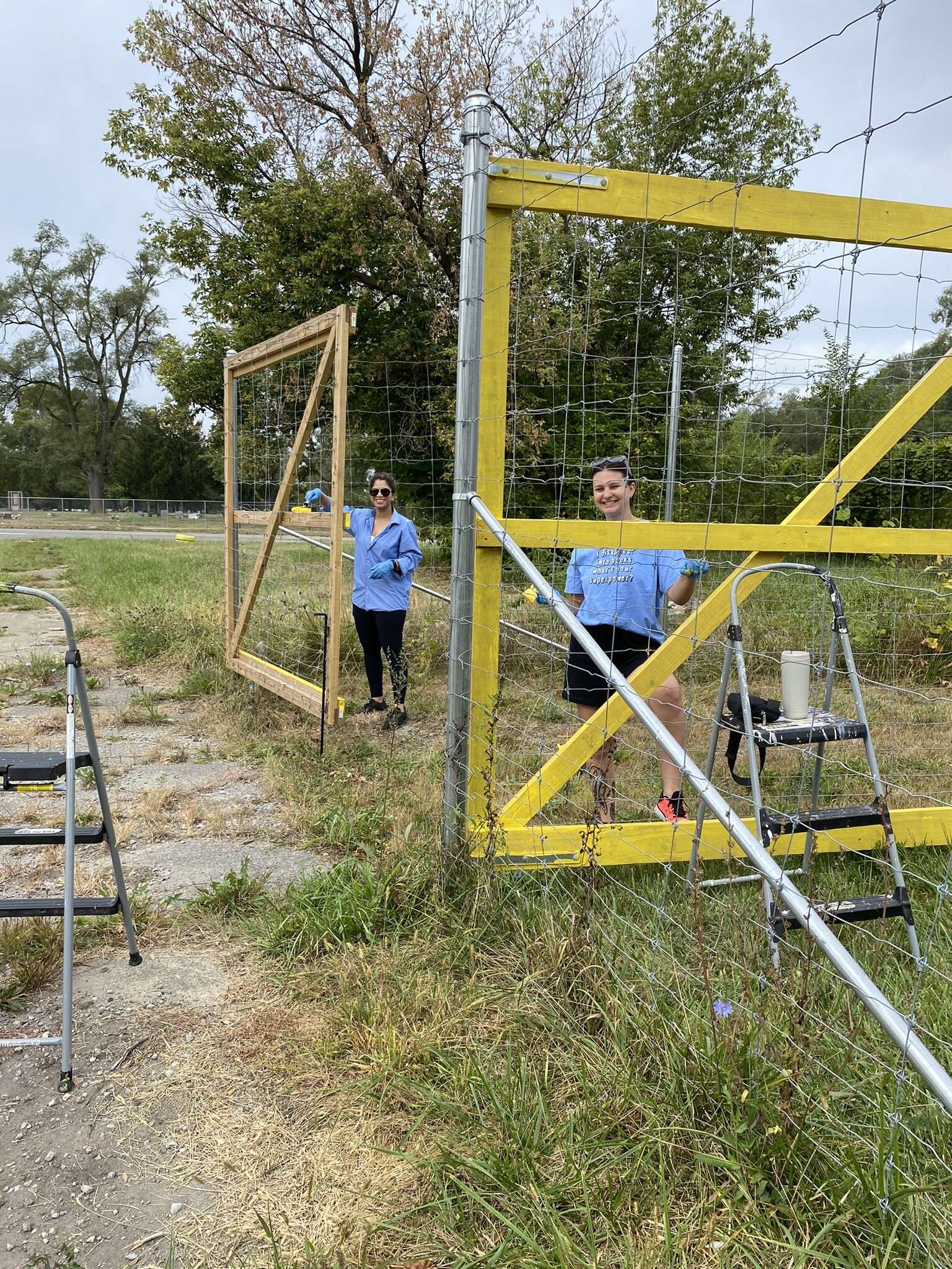 Regular Volunteer Hours: Volunteer Skills Series